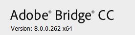 Bridge Version.JPG